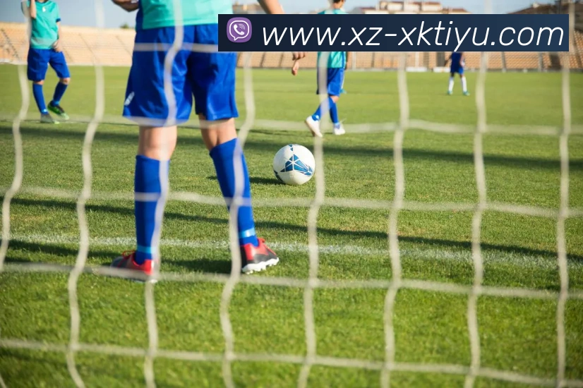 星空体育APP 封面图